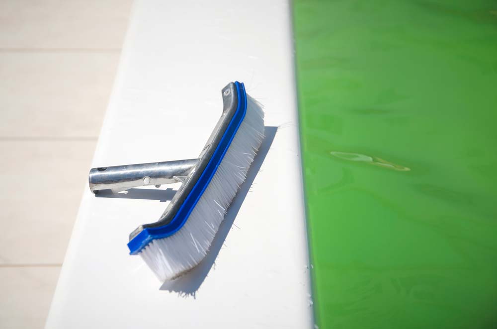 Пошаговая инструкция по очистке зеленого бассейна