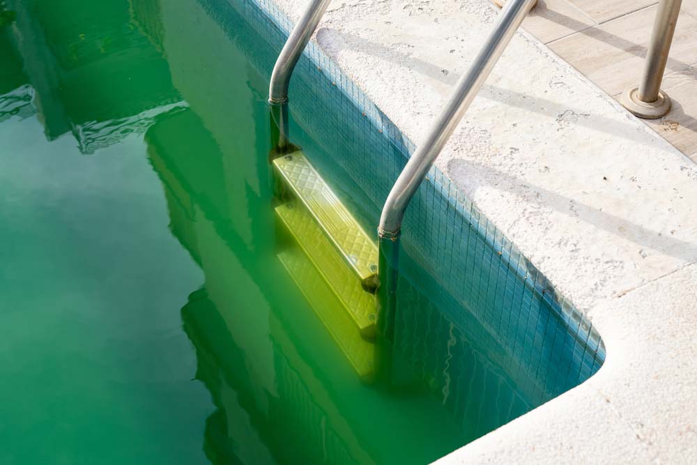 Зеленая вода в бассейне: в чем причина?