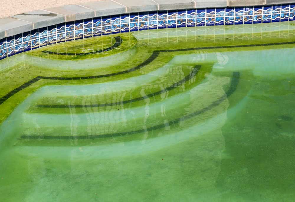Зеленый бассейн: причины, чистка, как избежать и советы профессионалов